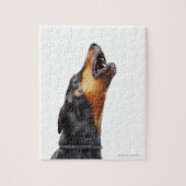 Puzzle Doberman hurle (Vertical)