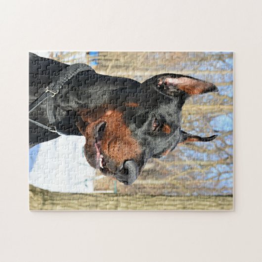 Puzzle Doberman pinscher dans la neige (Horizontal)
