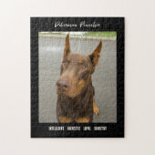 Puzzle Doberman Pinscher Photo Chien de race Jigsaw Puzzl (Vertical)