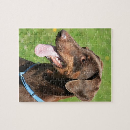Puzzle Dobermann rouge (Horizontal)