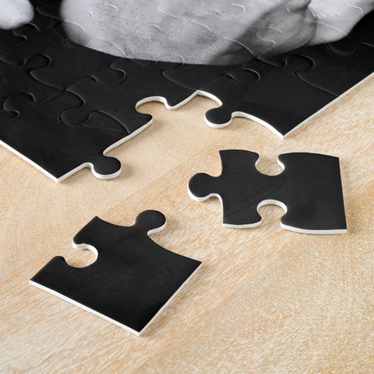 Puzzle Docteur de peste (Côté)