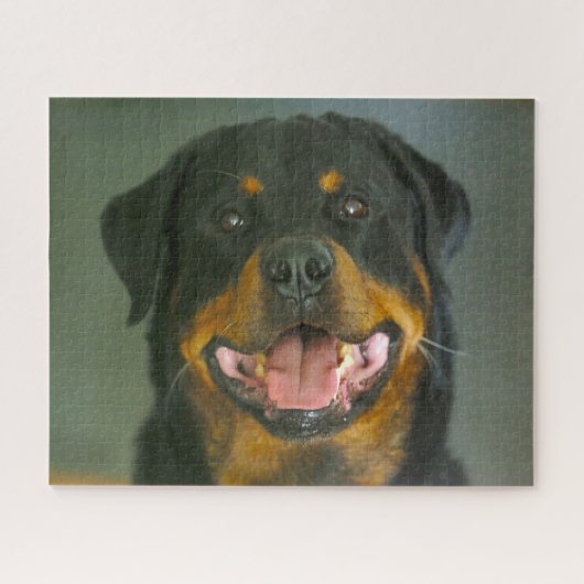 Puzzle Dog Jigsaws Rottweiler. (Horizontal)