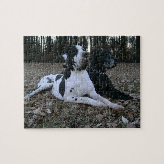 Puzzle Dogge allemand, Great Dane, chiens, Dogue Allemand (Horizontal)