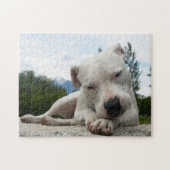 Puzzle Dogo Argentino (Horizontal)