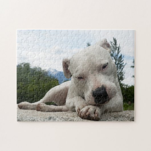 Puzzle Dogo Argentino (Horizontal)