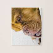 Puzzle Dogue de Bordeaux (Vertical)