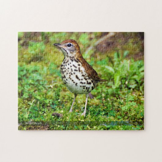 Puzzle d'oiseau de grive en bois (Horizontal)