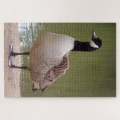 Puzzle d'oiseaux (Horizontal)
