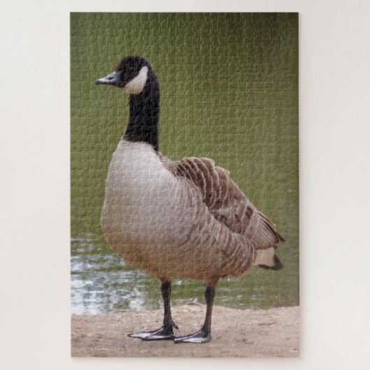 Puzzle d'oiseaux (Vertical)