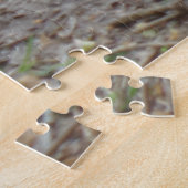 Puzzle d'oiseaux colorés (Côté)