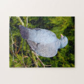 Puzzle d'oiseaux de pigeon de bois (Horizontal)