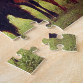 Puzzle d'Oklahoma de Buffalo et Veau (Côté)