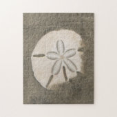 Puzzle Dollar de sable (Echinarachnius parma) (Vertical)