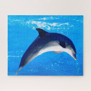 Puzzle Dolphin Jigsaw
