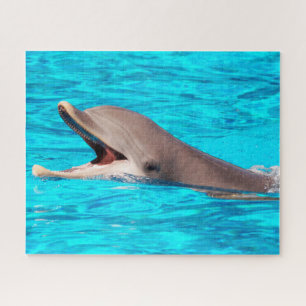 Puzzle Dolphin Jigsaw