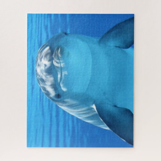 Puzzle Dolphin Jigsaw (Vertical)