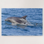Puzzle Dolphin Sighted (Horizontal)