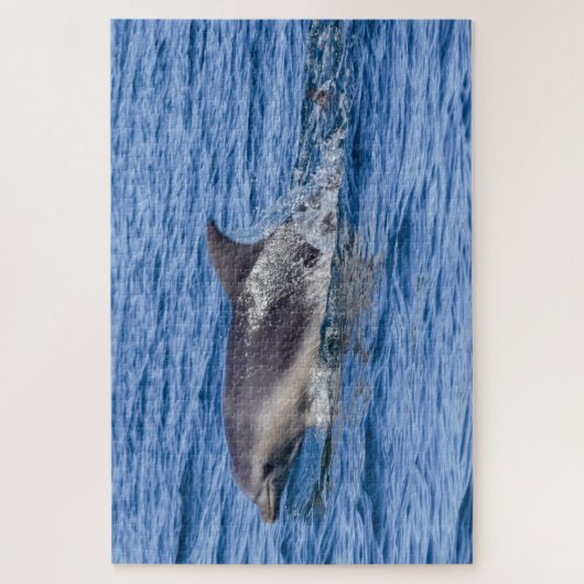 Puzzle Dolphin Sighted (Vertical)