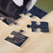 Puzzle Domestic Rock Pigeon (Dark Morph) (Côté)