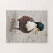 Puzzle Domicile Mallard Duclair Bibbed Odd Duck (Horizontal)