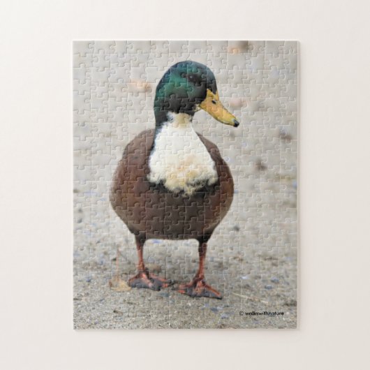 Puzzle Domicile Mallard Duclair Bibbed Odd Duck (Vertical)