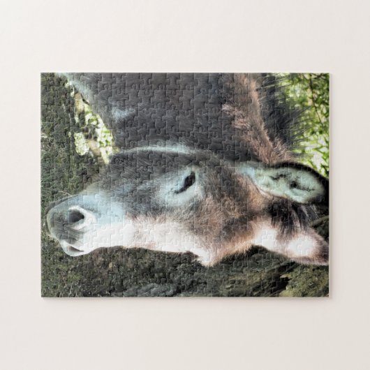 PUZZLE DONKEY (Horizontal)