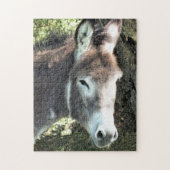 PUZZLE DONKEY (Vertical)