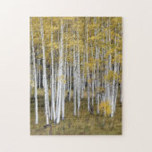 Puzzle d'or d'arbres d'Aspen (Vertical)