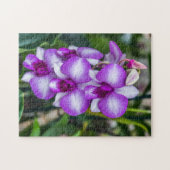 Puzzle d'orchidées blanches et violettes (Horizontal)