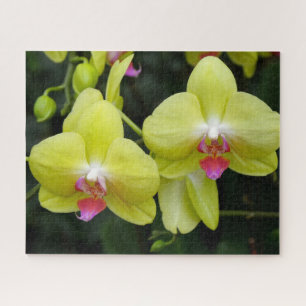 Puzzle d'orchidées jaunes