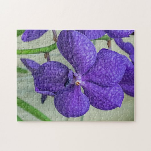 Puzzle d'orchidées violettes vanda (Horizontal)