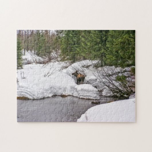Puzzle d'orignaux, 10x14 avec 252 morceaux (Horizontal)