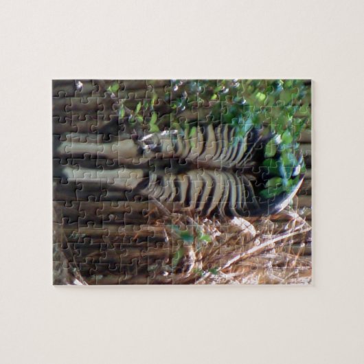 Puzzle Dos d'Okapi (Horizontal)