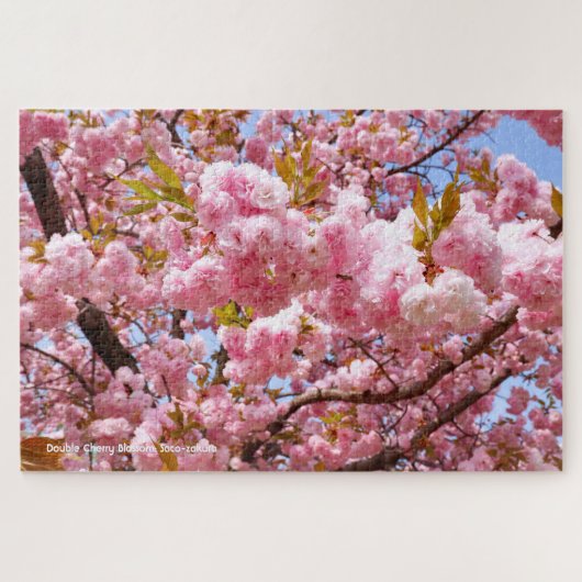 Puzzle Double Cherry Blossom: Sato-zakura (Horizontal)