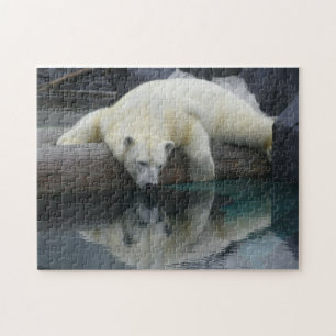 Puzzle d'ours blanc