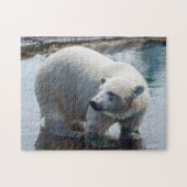 Puzzle d'ours blanc (Horizontal)