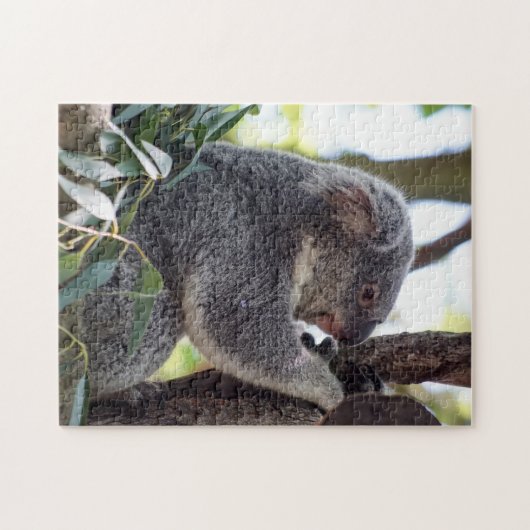 Puzzle d'ours de koala (Horizontal)