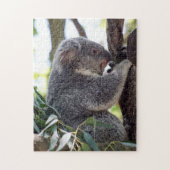 Puzzle d'ours de koala (Vertical)