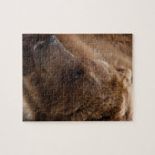 Puzzle d'ours gris (Horizontal)