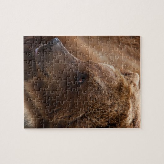 Puzzle d'ours gris (Horizontal)