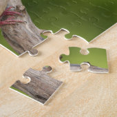 Puzzle Dove de deuil, Zenaida macroura (Côté)