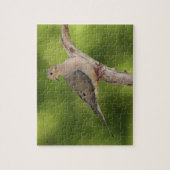 Puzzle Dove de deuil, Zenaida macroura (Vertical)