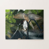 Puzzle Dove Wings Spread Birdfeeder Photographie Oiseau (Horizontal)