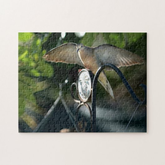 Puzzle Dove Wings Spread Birdfeeder Photographie Oiseau (Horizontal)