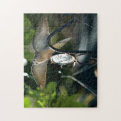Puzzle Dove Wings Spread Birdfeeder Photographie Oiseau (Vertical)