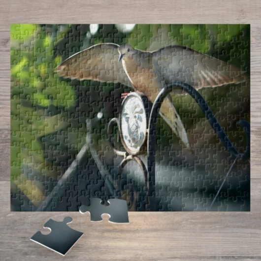 Puzzle Dove Wings Spread Birdfeeder Photographie Oiseau