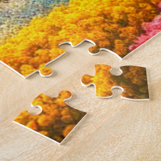 Puzzle Dragon (Côté)