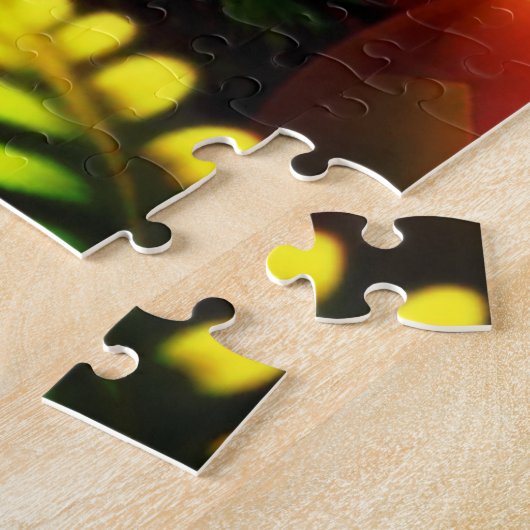 Puzzle Dragon (Côté)