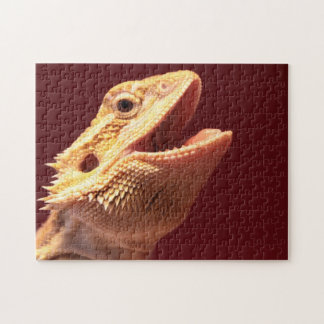 Puzzle Dragon barbu heureux superbe