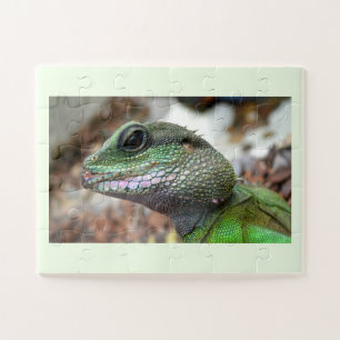 Puzzle Dragon d'eau chinois